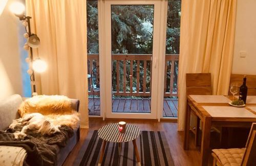 Pec pod Snezkou Apartment | Pet-Friendly TooToo Apartment in Pec pod Sněžkou