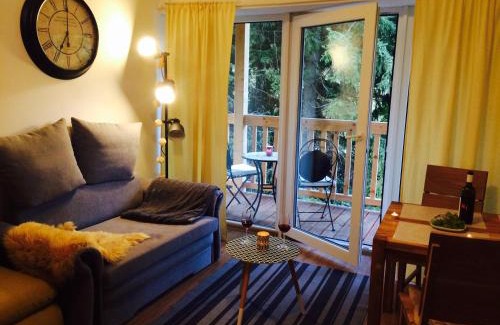 Pec pod Snezkou Apartment | Pet-Friendly TooToo Apartment in Pec pod Sněžkou