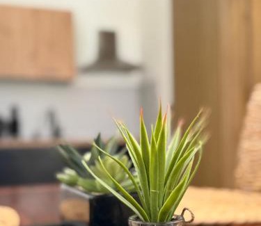 Vlachy Apartment | Apartmán u Andy