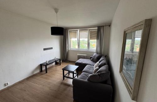 Ostrava Apartment | Apartmán u Bělského lesu