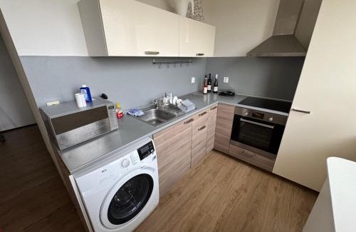Ostrava Apartment | Apartmán u Bělského lesu