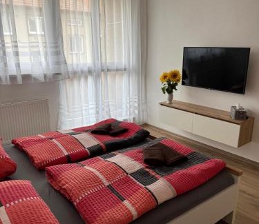 Znojmo Apartment | Apartmán u Berušky
