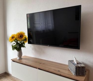Znojmo Apartment | Apartmán u Berušky
