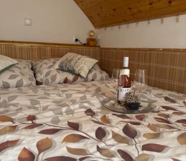 Jesenik Apartment | Relaxing Getaway at Apartmán u Ještěrky with Sauna Access