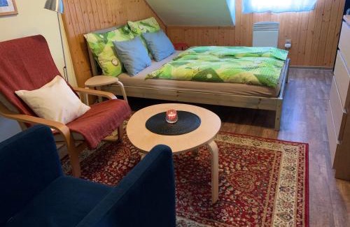 Olomouc Apartment | Discover Apartmán U Klášterního Hradiska with Family Amenities