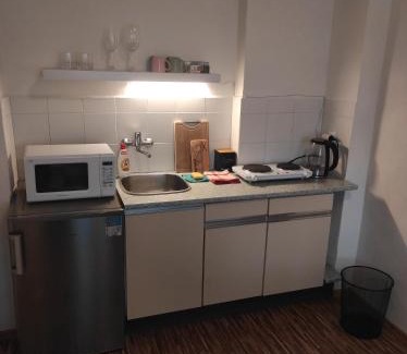 Lazne Kynzvart Apartment | Pet-Friendly Comfort at Apartmán U Krtka - 7.9/10 Rated