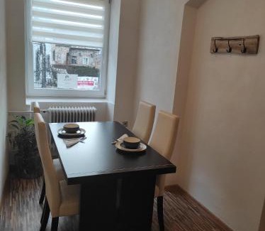Lazne Kynzvart Apartment | Pet-Friendly Comfort at Apartmán U Krtka - 7.9/10 Rated