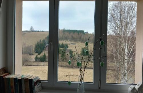Orlicke Zahori Apartment | Pet-Friendly Retreat at Apartmán u Kunštátského mlýna