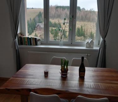 Orlicke Zahori Apartment | Pet-Friendly Retreat at Apartmán u Kunštátského mlýna