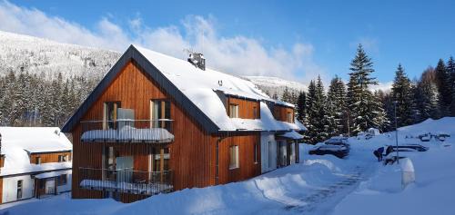 Dolni Morava Apartment | Guest Rated 9.8: Family-Friendly Apartmán U nás na Dolní Moravě