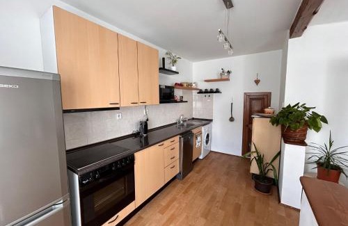 Kajov Apartment | Apartmán u Poustevníka