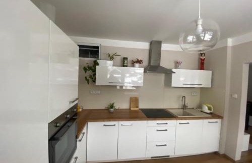 Loucna nad Desnou Apartment | Apartmán U Rybníčku