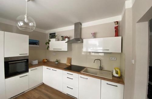 Loucna nad Desnou Apartment | Apartmán U Rybníčku