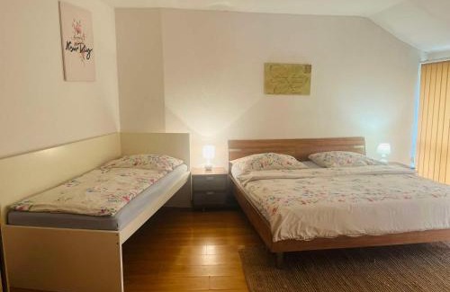 Husinec Apartment | Pet-Friendly Comfort at Apartmán U Slunečnice, Rated 8.8
