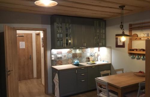 Dolni Morava Apartment | Cozy Apartment by the Slope in Dolní Morava - 4 Stars