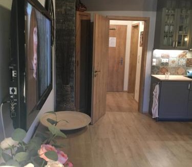 Dolni Morava Apartment | Cozy Apartment by the Slope in Dolní Morava - 4 Stars