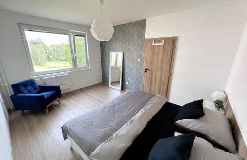 Hradec Kralove Apartment | Apartmán v klidné části Hradce