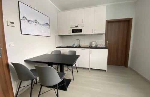 Loucna nad Desnou Apartment | Cozy Apartment in Koutech with Family-Friendly Amenities