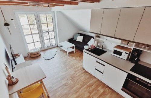 Ricky v Orlickych horach Apartment | Cozy Loft Apartment with Top Guest Ratings and Comfort