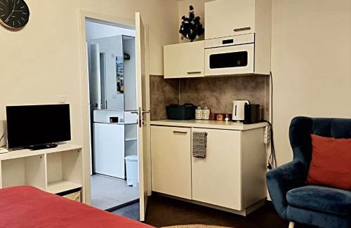 Pisek Apartment | Guest Favorite: Apartmán Zlatý kříž, Rated 8.8/10