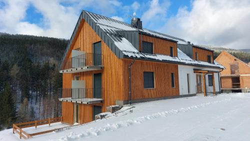 Dolni Morava Apartment | Discover Apartmán08: Family-Friendly Retreat with 9.5 Rating