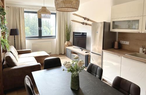 Cerny Dul Apartment | Spacious Apartment for 4-6 Guests with Balconies & Parking