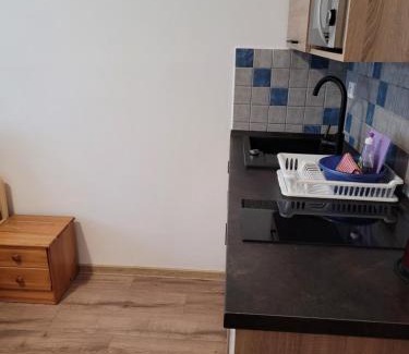 Borova Lada Apartment | Family-Friendly Retreat at Apartmány 009: Pet Welcome!
