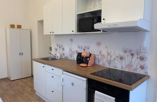 Uhersky Ostroh Apartment | Apartmány 150
