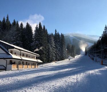 Jasna Apartment | Unforgettable Stay at APARTMÁNY BIELA PÚŤ - 10/10 Guest Rated