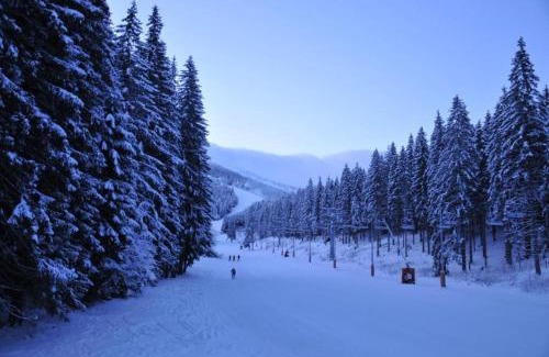 Jasna Apartment | Guest Rated: Apartmány Biela Púť - Family-Friendly Retreat