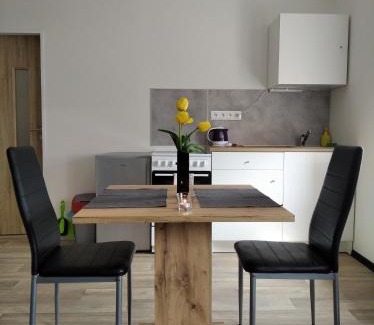 Dalovice Apartment | Pet-Friendly Retreat at Apartmány Borská 30 - Rated 9/10