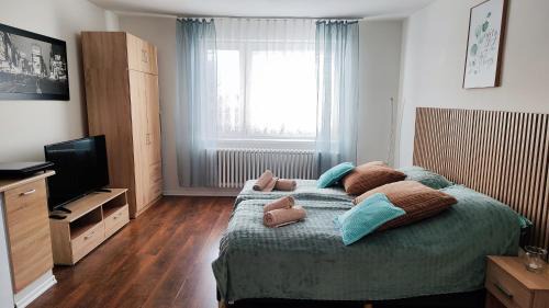 Presov Apartment | Oceanfront Escape at Apartmán Chalúpkova, Prešov - Solivar