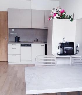 Dolni Morava Apartment | Relaxing Retreat at Apartmány Dolní Morava - Rated 9/10!