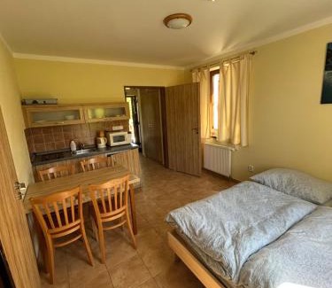 Dolni Moravice Apartment | Comfortable Suites at Apartmány F - Chata Svobodenka