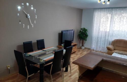 Velky Slavkov Apartment | Pet-Friendly APARTMÁNY Fortuna with Hot Tub & Breakfast