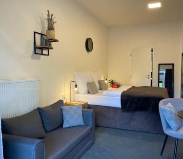 Brno Bed & Breakfast | Pet-Friendly Comfort at Apartmány Hrázní for Families