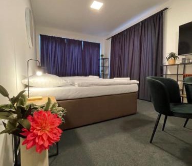 Brno Bed & Breakfast | Pet-Friendly Comfort at Apartmány Hrázní for Families