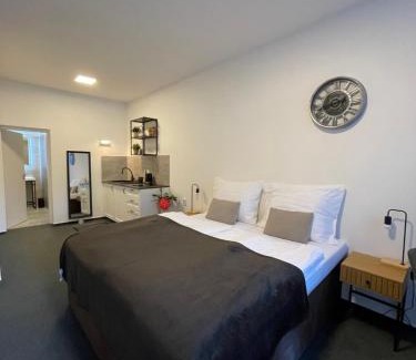 Brno Bed & Breakfast | Pet-Friendly Comfort at Apartmány Hrázní for Families