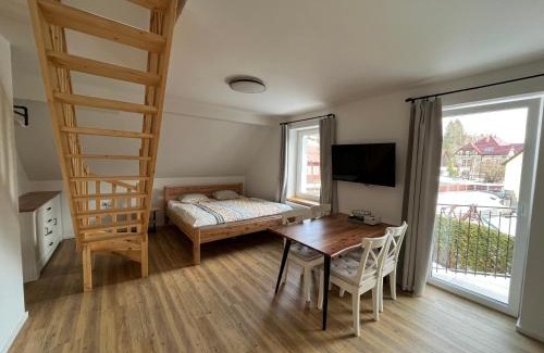 Josefov Dul Apartment | Guest Rated: 9.8 at Apartmány Josefáč with Sauna & Garden