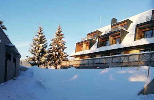 Ricky v Orlickych horach Apartment | Discover Apartmány Julinka: Family-Friendly & Top Rated!