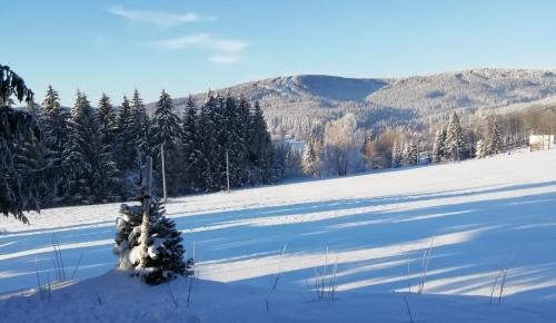 Ricky v Orlickych horach Apartment | Discover Apartmány Julinka: Family-Friendly & Top Rated!