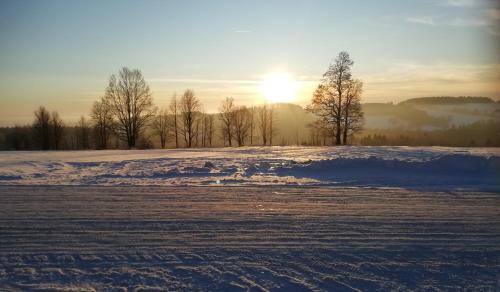 Ricky v Orlickych horach Apartment | Discover Apartmány Julinka: Family-Friendly & Top Rated!