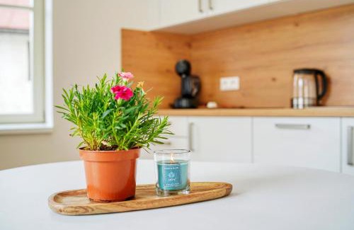 Kasperske Hory Apartment | Family-Friendly Apartmány Kašperské Hory - Rated 9.1/10