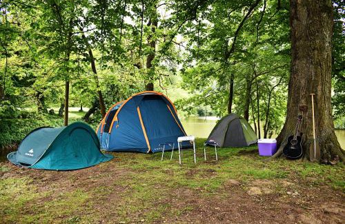 Sazava Apartment | Pet-Friendly Retreat at Apartmány Sázavský ostrov, 8.5/10