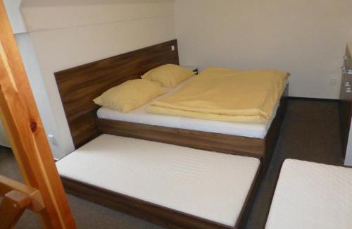Loucna nad Desnou Apartment | Discover Apartmány Kouty - Jeseníky with Breakfast & Hot Tub