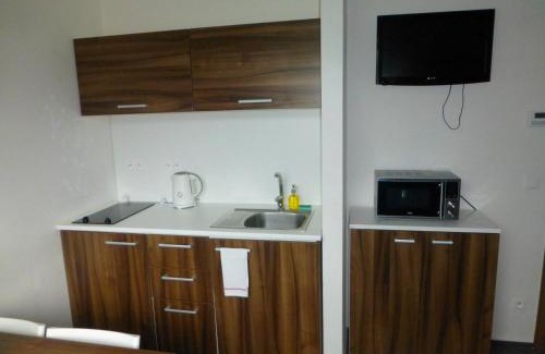 Loucna nad Desnou Apartment | Discover Apartmány Kouty - Jeseníky with Breakfast & Hot Tub