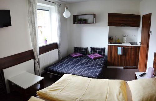 Loucna nad Desnou Apartment | Apartmány - Kouty nad Desnou