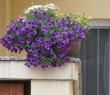 Liptovsky Mikulas Apartment | Guest Rated: 9.5 at Apartmány Lea with Pool & Family Fun