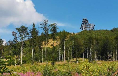 Dolni Morava Apartment | Eco-Friendly Retreat at Apartmány Marek a Michal