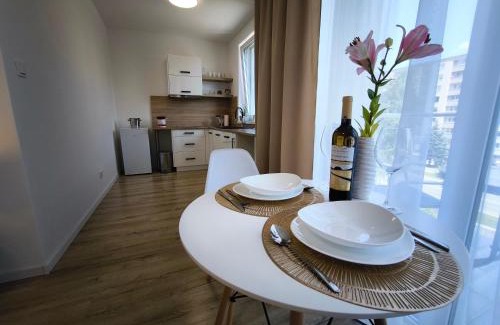 Svidnik Apartment | Cozy Apartmány Nikola: Ideal for Families with Breakfast Included